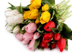 Mű tulipán csokor - 7 szál Virág, toll, növény